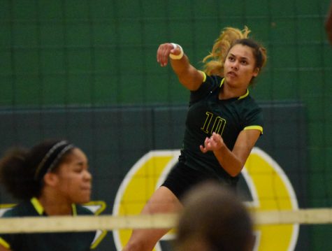 Lady Burros Volleyball earns win in first district match of 2017 season