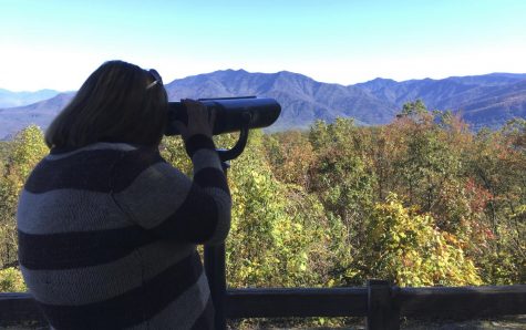 Viewfinders unveil Tennessee fall colors for the colorblind