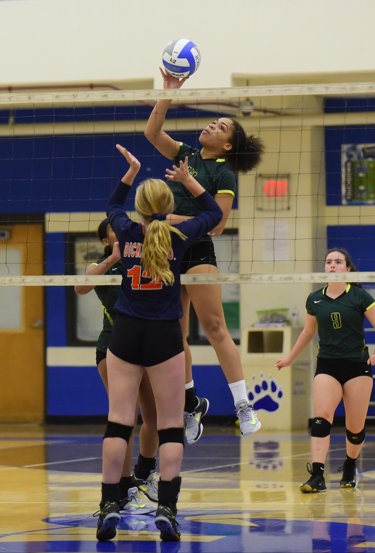 Lady Burros Volleyball beat Dickson Co. in 5 sets to win 3rd straight District 11 Championship