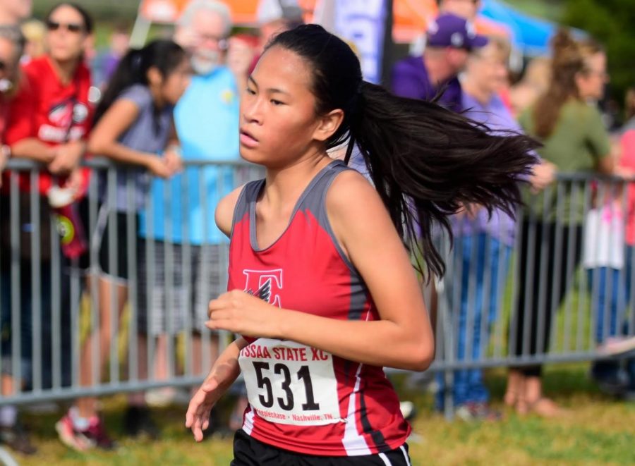 Nashville Easts Sadie Frogge medaled  in the 2017 TSSAA Cross Country Championship