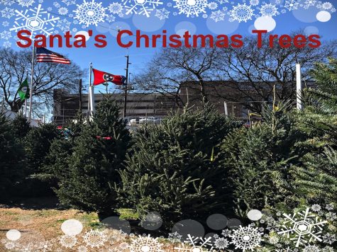Nashville Traditions: Santa’s Trees Lot, since 1970, has been a Christmas tradition for generations