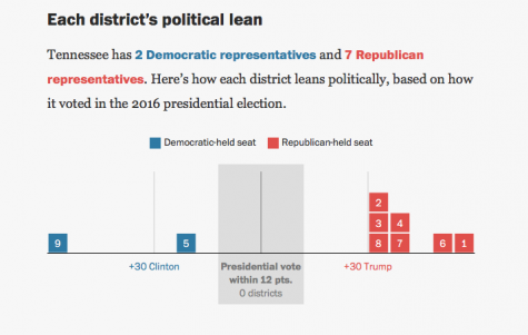 Tennessee Primary Elections – A look at the state races