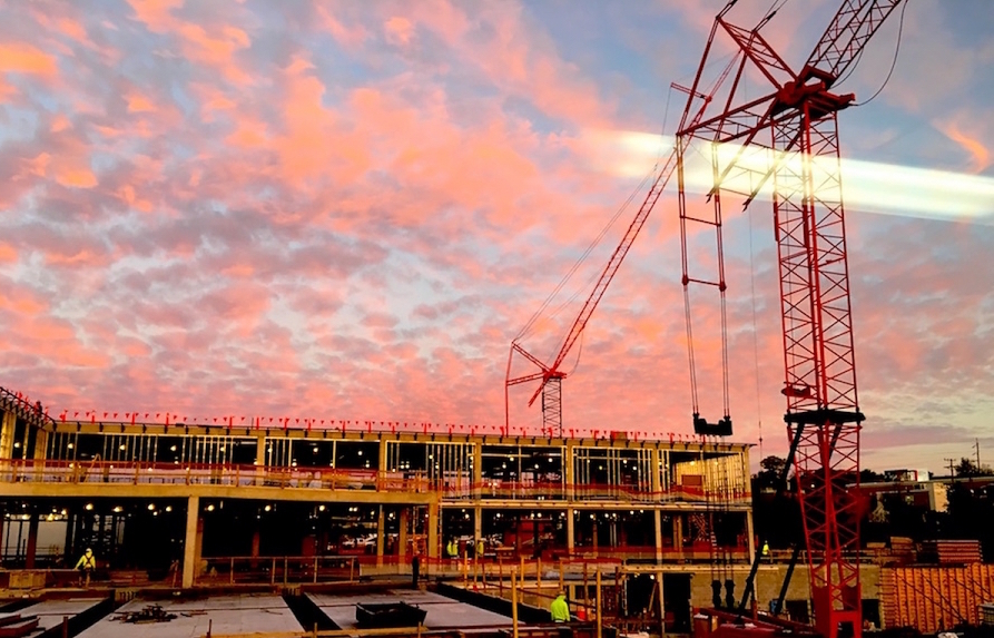 The Hillsboro Globe Crane craze Nashville reaches the legal limit