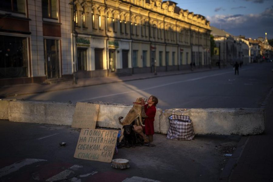 A woman begs for alms to feed her dogs in Kyiv, on Saturday, April 30, 2022. (AP Photo/Emilio Morenatti)