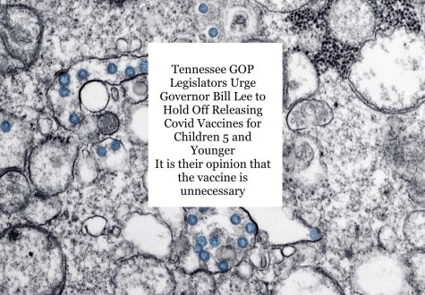 Tennessee GOP leaders urge delay of toddler COVID-19 shots