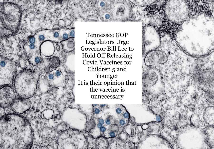 Tennessee+GOP+leaders+urge+delay+of+toddler+COVID-19+shots