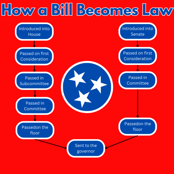 The process of a bill becoming law is a complex multistep process.