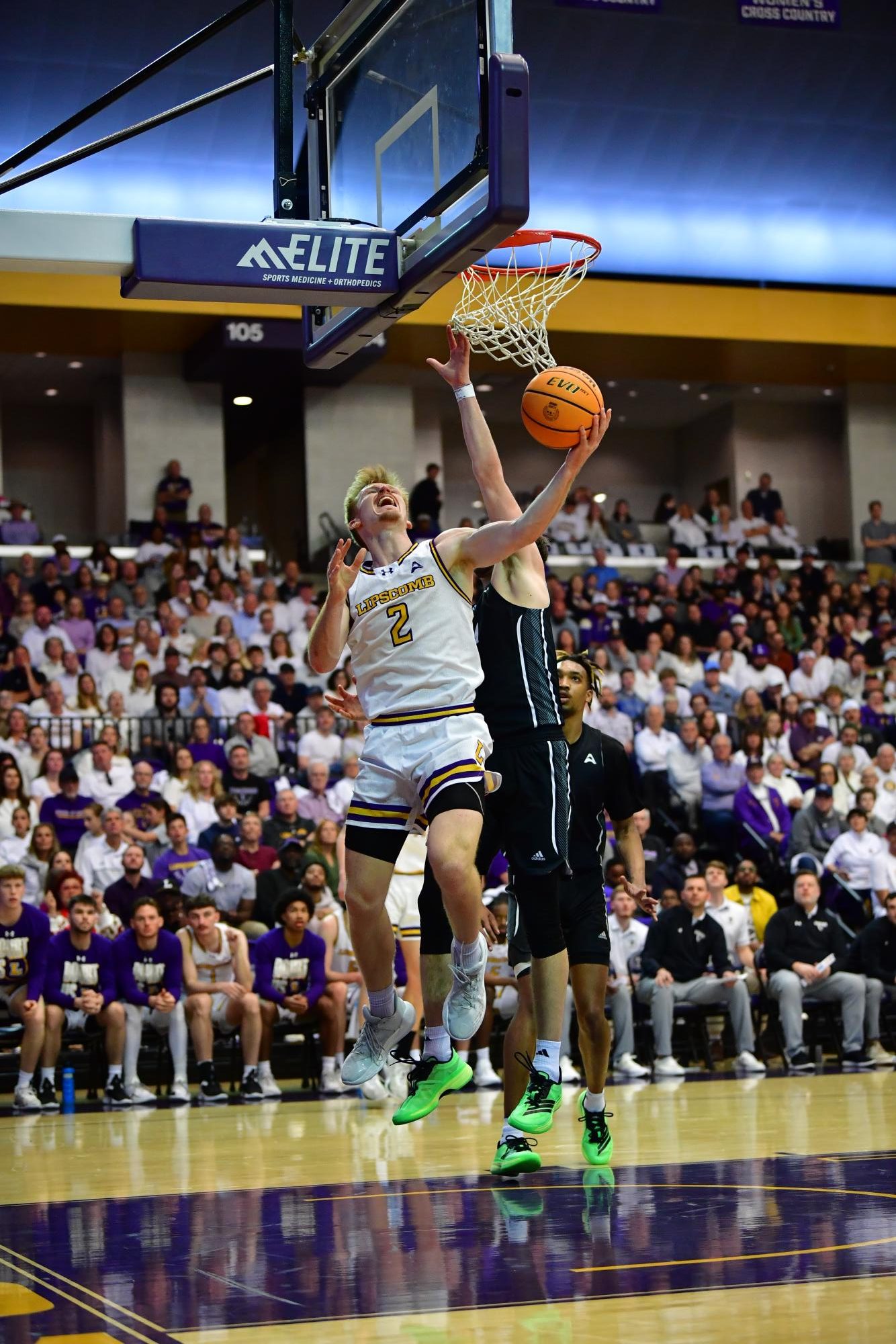 Ognacevic bounces back after missing season due to injury and leads Lipscomb into NCAA Tournament bid