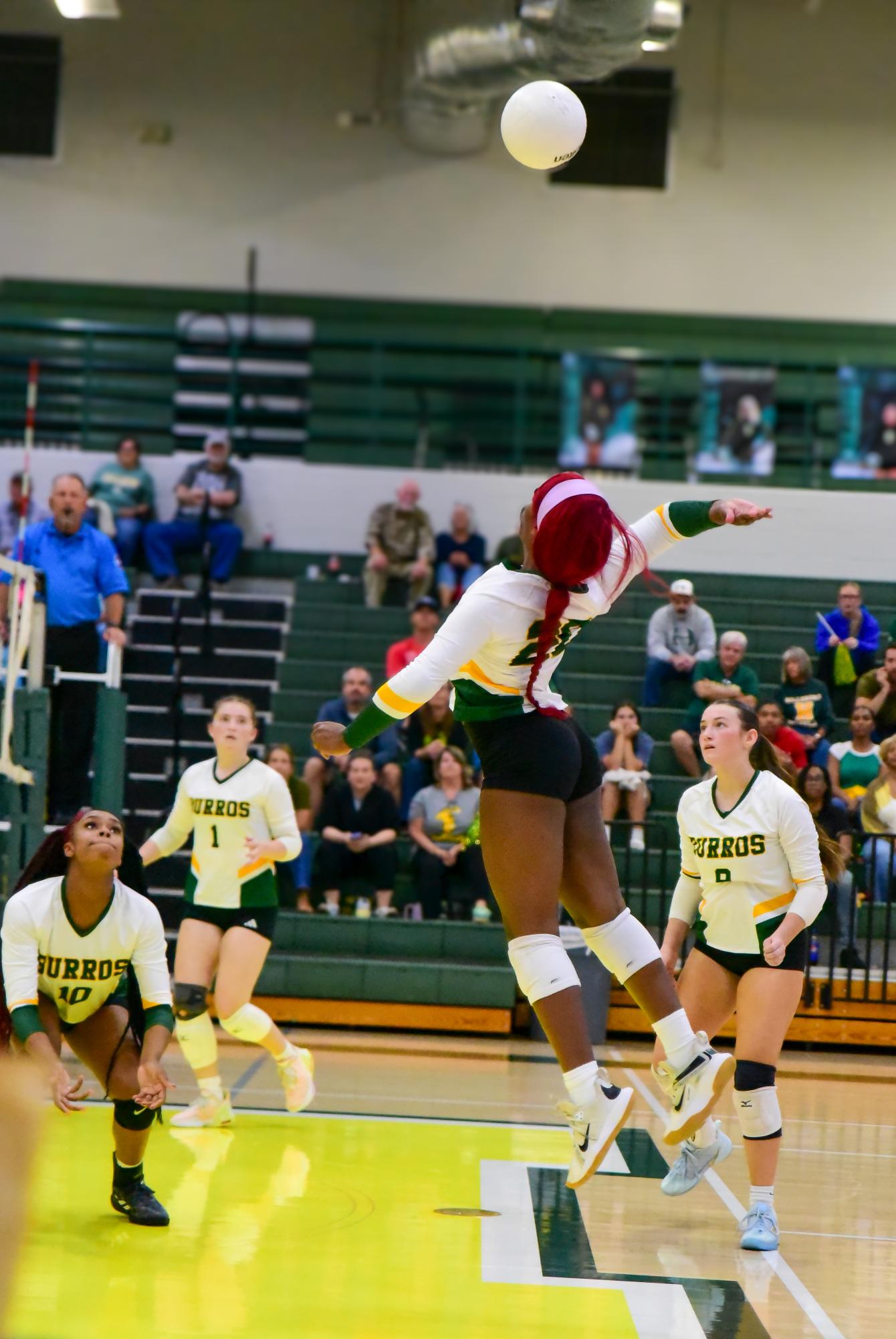 Lady Burros Volleyball Team shows resilience and consistent growth for the 2025 season