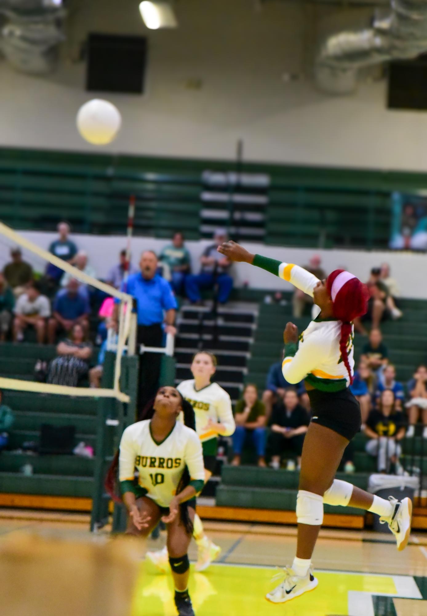 Lady Burros Volleyball Team shows resilience and consistent growth for the 2025 season