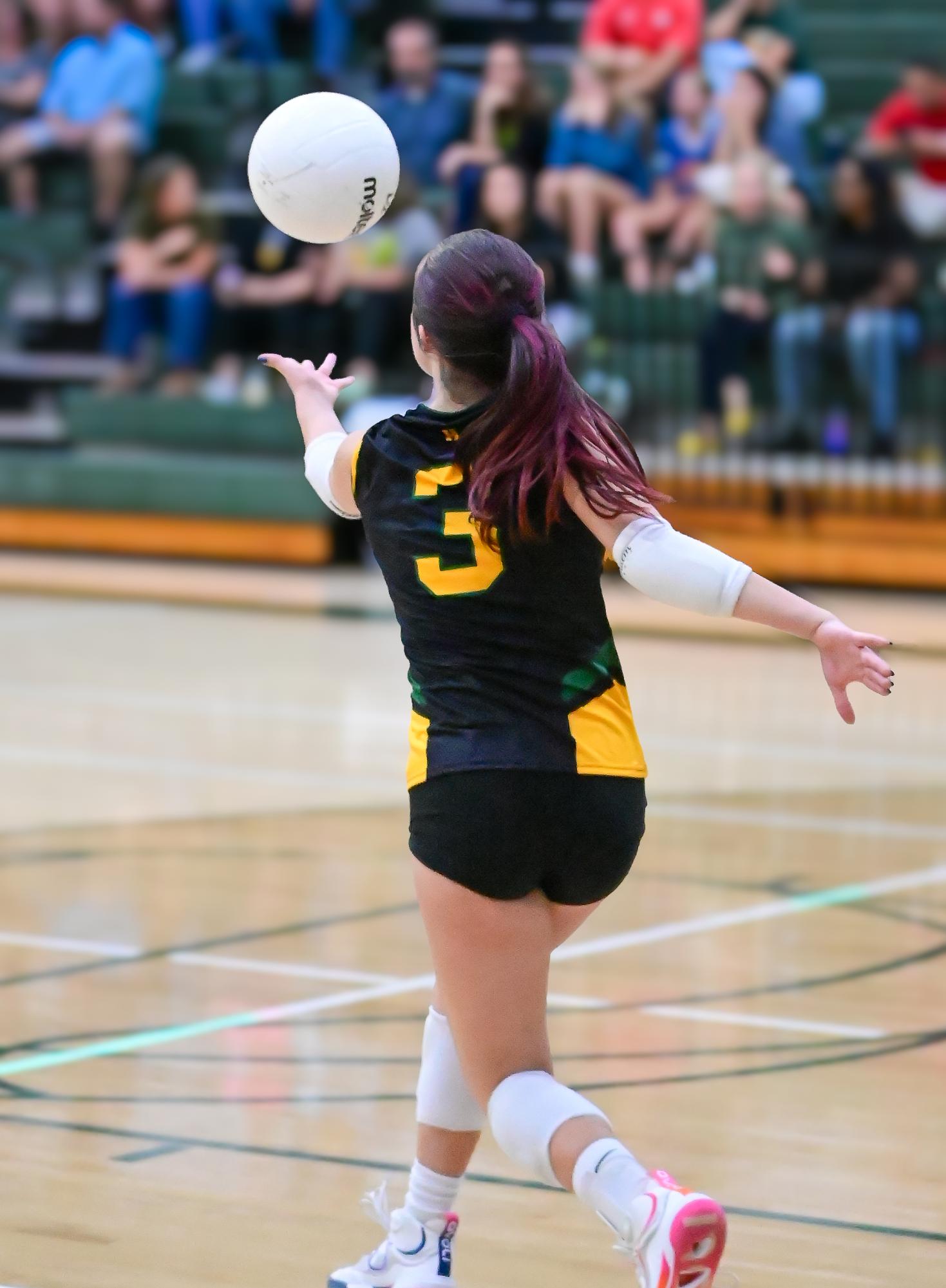 Lady Burros Volleyball Team shows resilience and consistent growth for the 2025 season